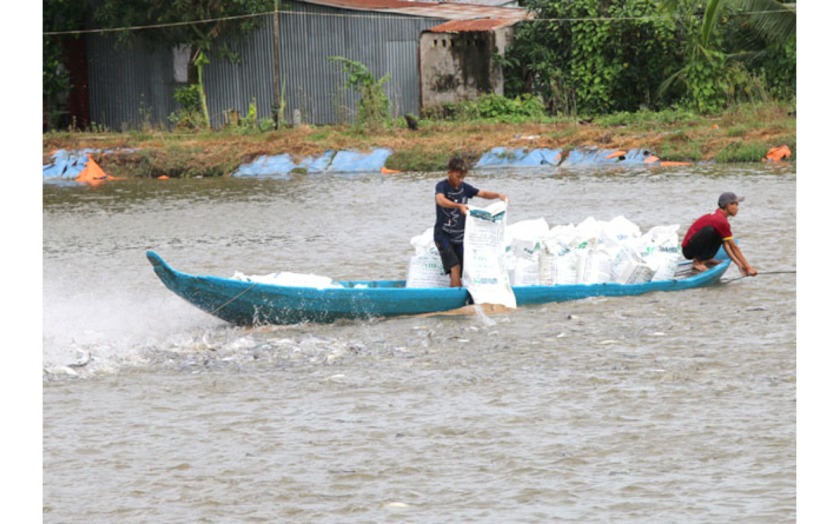 Gi&aacute; c&aacute; tra nguy&ecirc;n liệu tăng trở lại